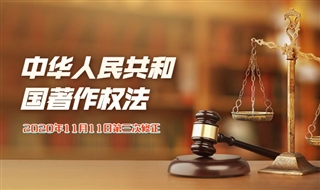 中华人民共和国著作权法，2020年11月11日第三次修正