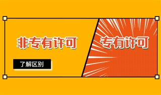 软件著作权的专有许可和非专有许可有什么区别？