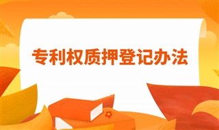 专利权质押登记办法，2021年11月15日发布实施