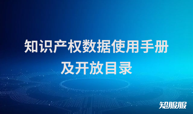 知识产权数据使用手册及开放目录.png
