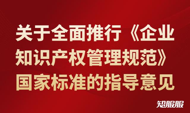 关于全面推行《企业知识产权管理规范》国家标准的指导意见.jpg